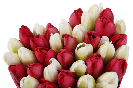 Композиция Весеннее вдохновение (мини), красно-белая