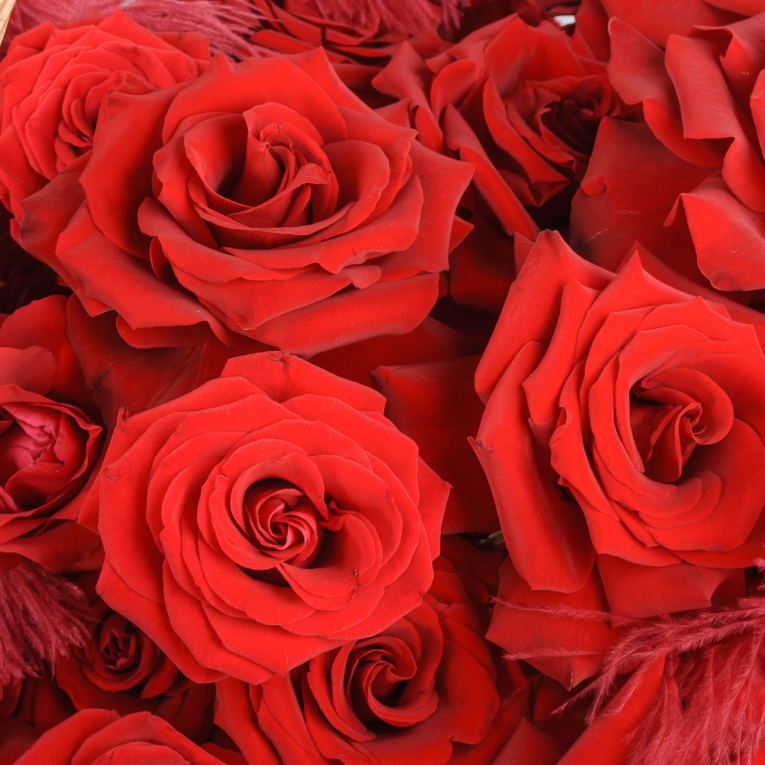 Композиция в корзине Огненный вихрь