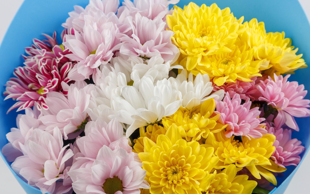 Букет из хризантем Звездное небо (мини)