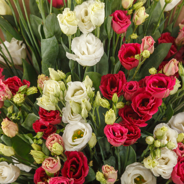 Букет из эустомы Мираж (медиум)