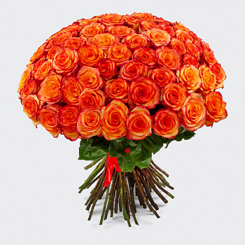 Букет 75 роз Хай Мэджик (Эквадор), 60 см