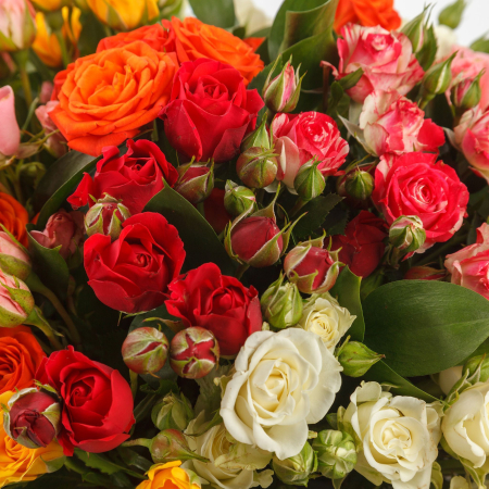 Букет роз 23 первых поцелуя + Десерт в ПОДАРОК!