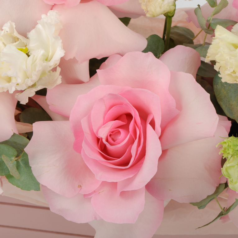 Композиция в кашпо Нежные грёзы