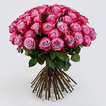 Букет 51 роза Дип Перпл (Эквадор), 60 см