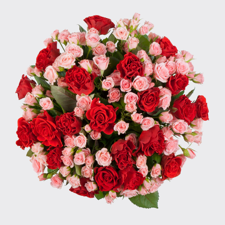 Букет в коробке Любовный напиток (51 роза)