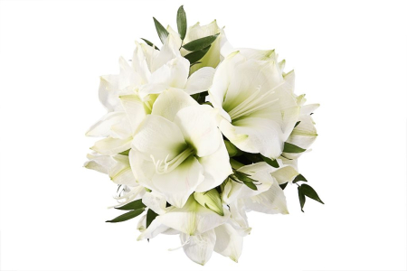 Букет с гиппеаструмами Белая чайка