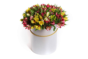 Букет из альстромерий Фруктовый десерт в шляпной коробке