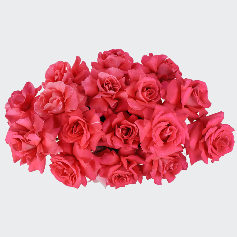 Букет в коробке Поцелуй на закате