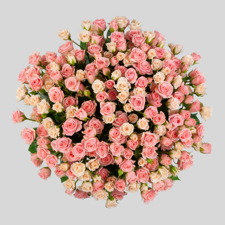 Букет из 51 розы Одна она