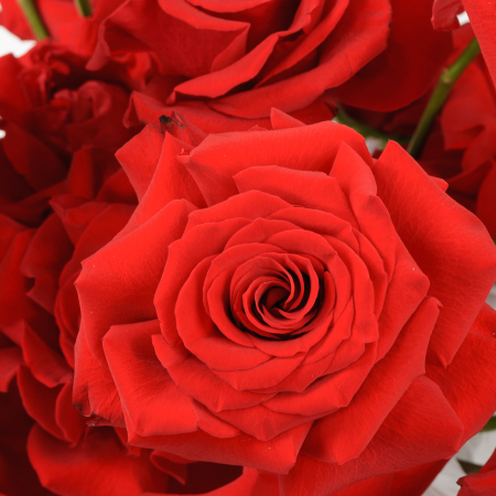 Букет в коробке Валентинка (21 роза)