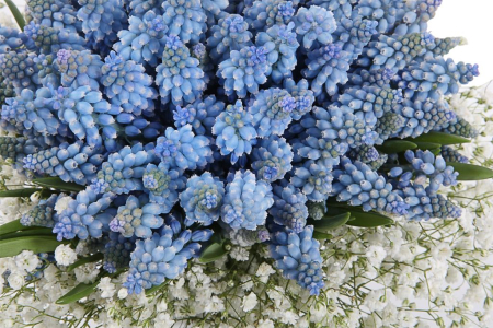 Букет Выше облаков