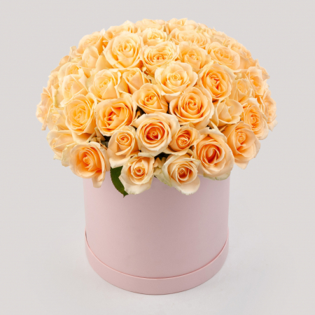 Букет в розовой коробке Утренняя соната (51 роза)