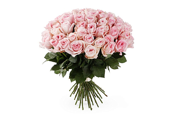 Букет 51 роза Пинк О'Хара