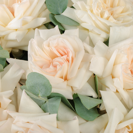 Букет из 15 роз Магия момента