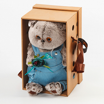 Кот Басик в голубом комбинезоне