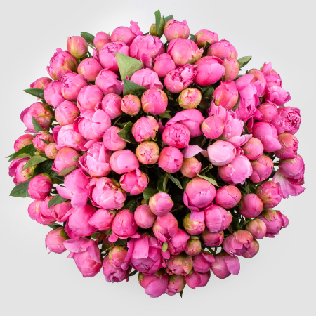 Букет из 101 пиона Розовая призма