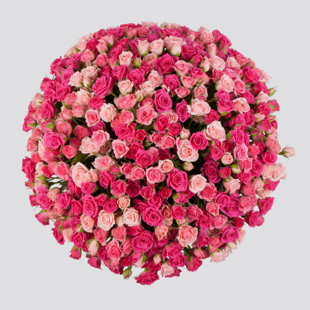 Букет из 101 розы Ожившая мечта