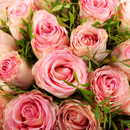 Букет роз Мое сердце