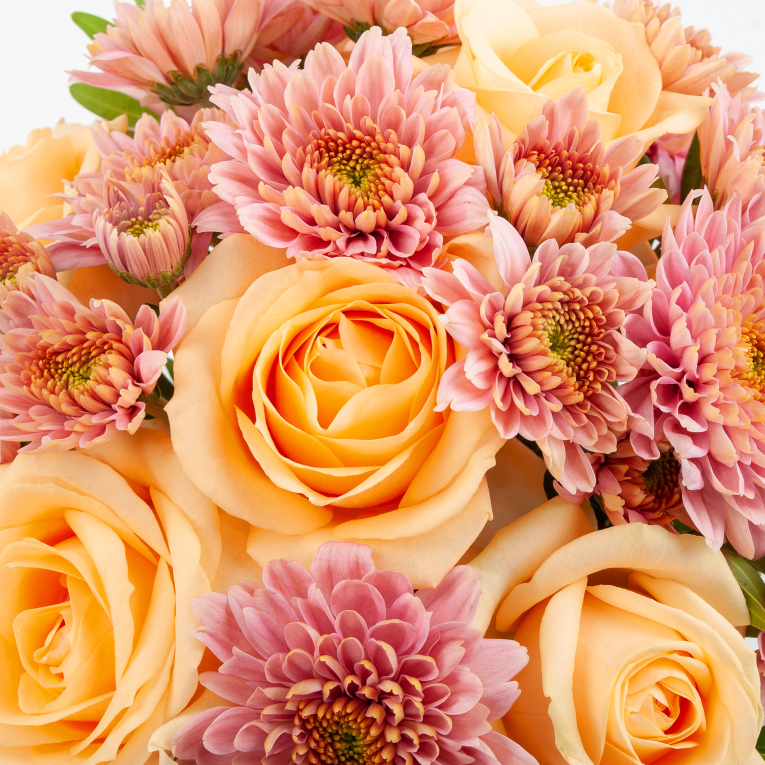 Букет в кашпо Перо феникса