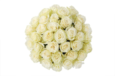 Букет 35 роз Мондиаль в шляпной коробке