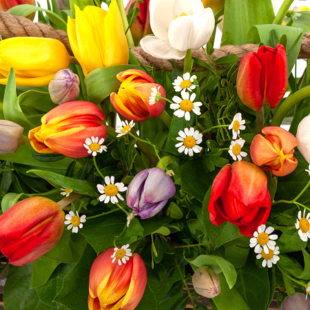 Букет в кашпо Радужные чувства