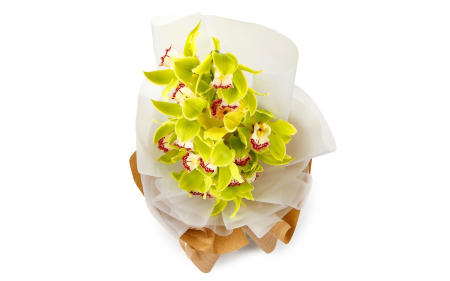 Букет из лимонной орхидеи Тропиканка