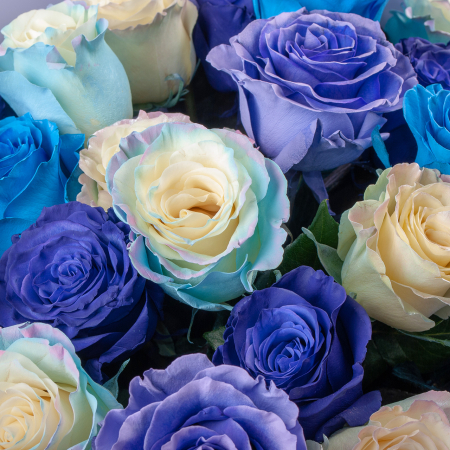 Букет из 25 роз Небесный свод