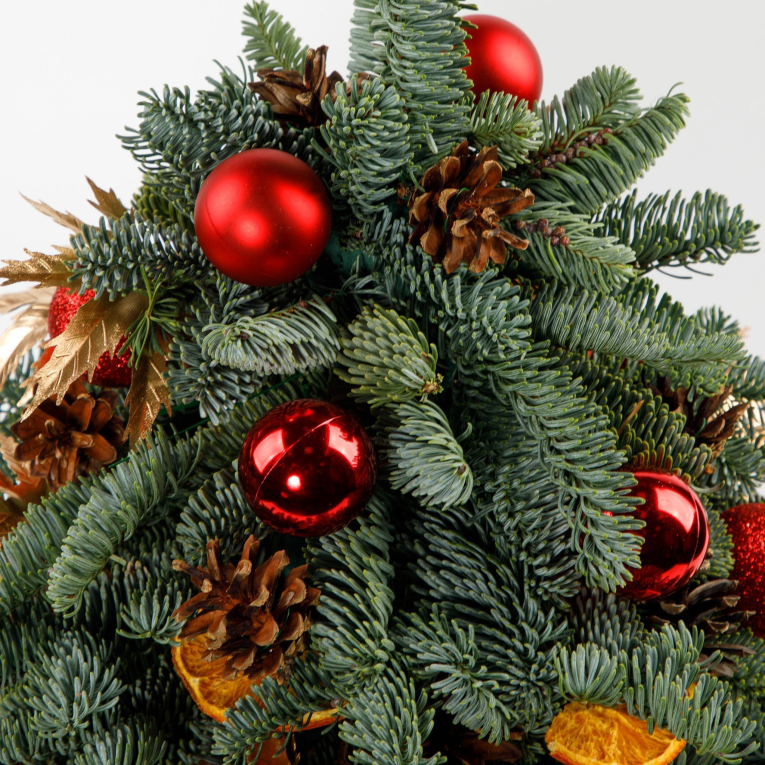 Композиция Зимний наряд