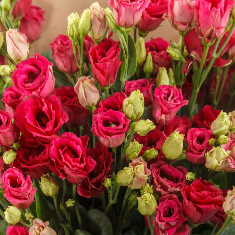 Букет из эустомы Мираж (мини)