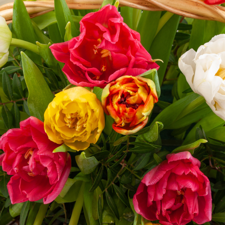 Букет в корзине Перо жар-птицы