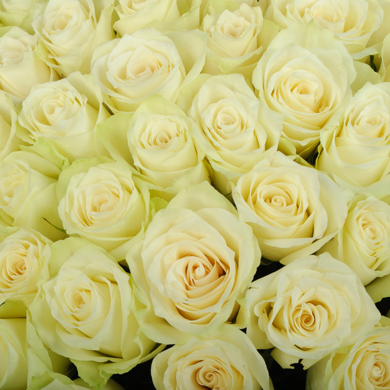 Букет из 101 розы Жемчужное ожерелье