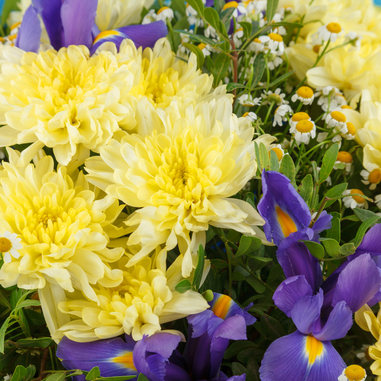 Букет Ностальгия (макси)