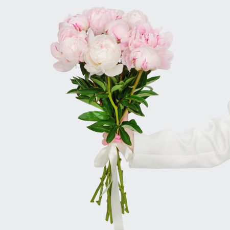 Букет из пионов 9 комплиментов