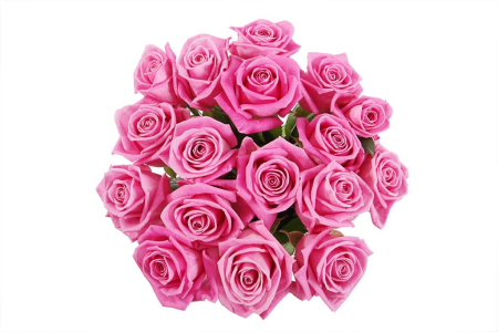 Букет 17 роз Аква