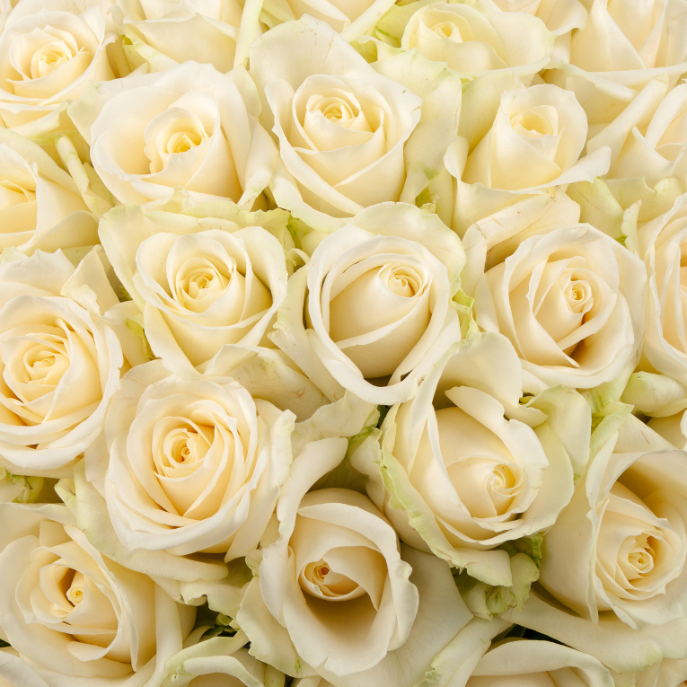 Букет в розовой коробке Первая нежность (51 роза)