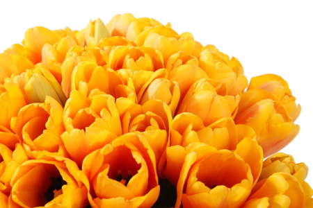 Букет 51 королевский тюльпан в коробке, рыжие