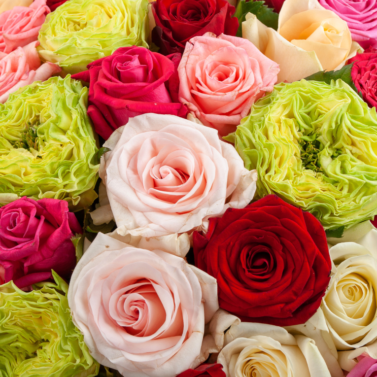 Букет из 101 розы Английский сад