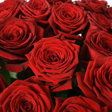Букет 21 красной розы Ред Наоми (60 см)
