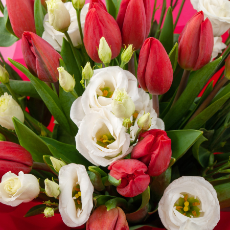 Букет Весенняя палитра (красно-белая)