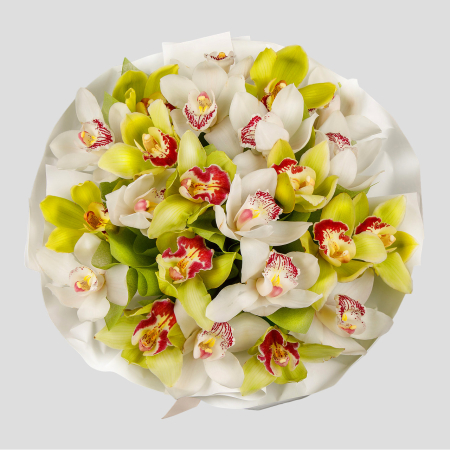 Букет из орхидей Фисташковое мороженое