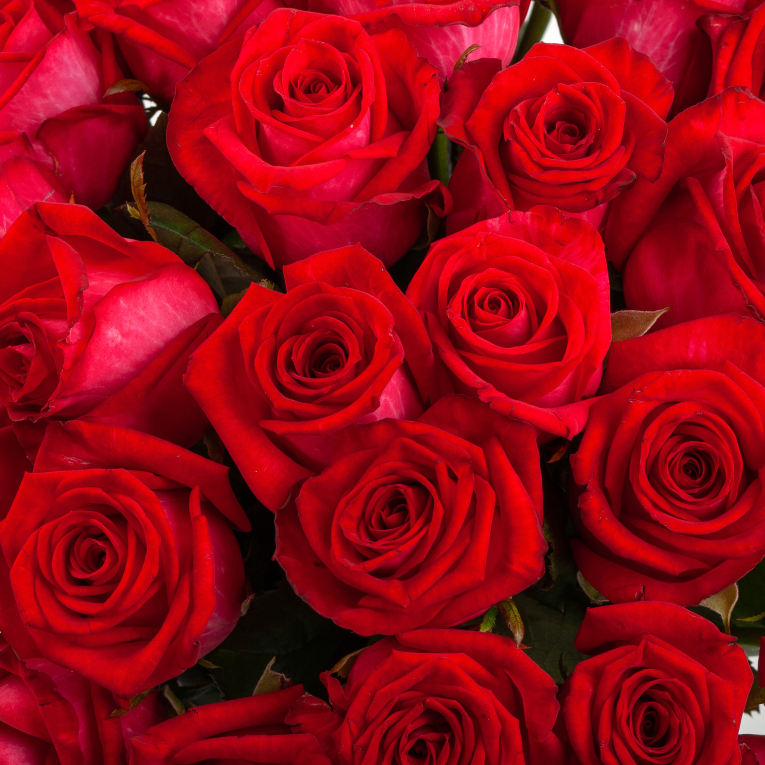 Букет из 51 розы Глаза в глаза