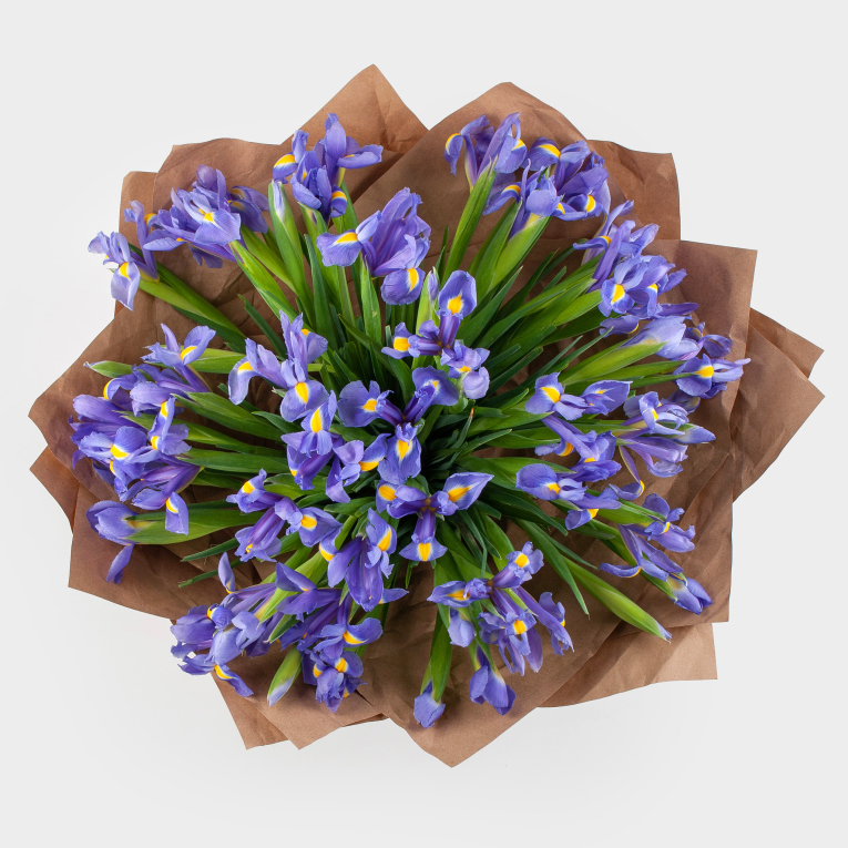 Букет из ирисов Ириска (макси)
