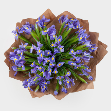 Букет из ирисов Ириска (макси)