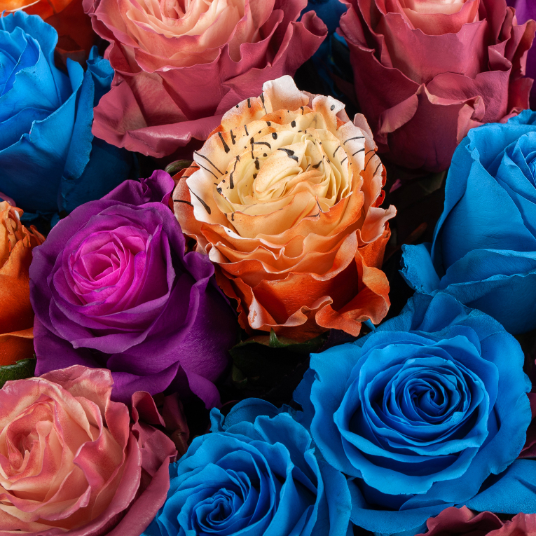 Букет 51 роза Радужный каприз