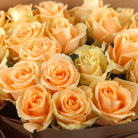 Букет из 25 роз Моя судьба