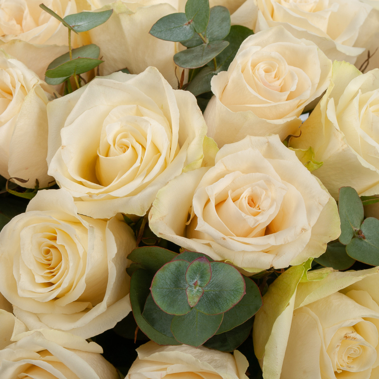 Цветы в коробке Под прозрачной дымкой