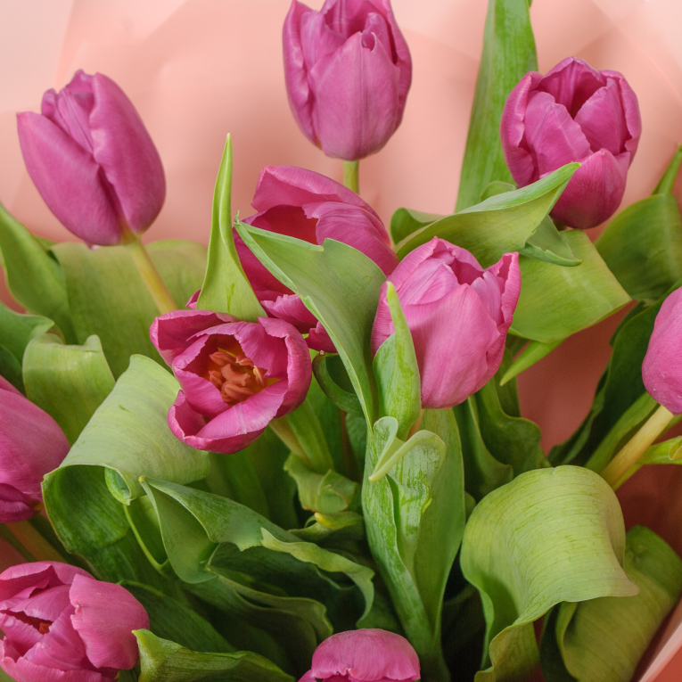 Букет 11 фиолетовых тюльпанов