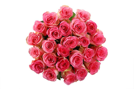 Букет 25 роз Малибу