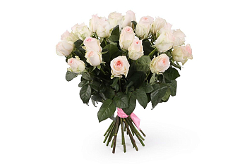 Букет 25 роз Сеньорита