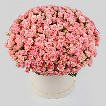 Букет в коробке Утренние поцелуи (151 роза)